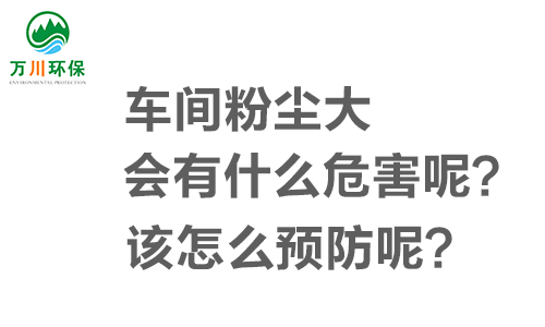 車(chē)間粉塵大會(huì )有什么危害呢？該怎么預防呢？
